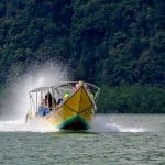 Jungle lodges for immersive nature experiences