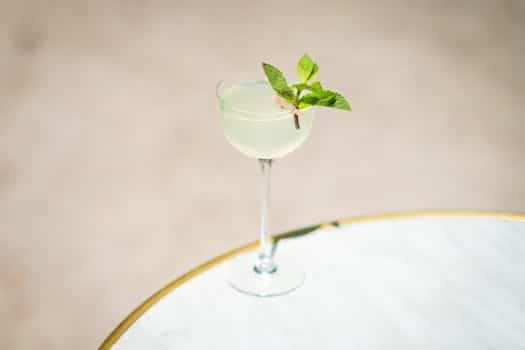 Mint sprigs garnish summer mojitos and desserts