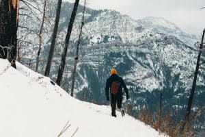Luxury camping experiences in national parks