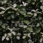 Outdoor classrooms thriving in all four seasons