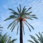 Rainy season adventures in tropical paradises