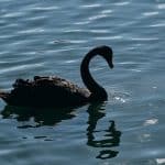 Floating markets that awaken all the senses