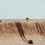 Off-Road Vehicles Perfect for Adventurous Drivers