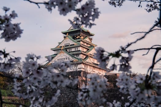 Cultural museums off the tourist radar