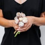 Garlic cloves flavor sauces and soups