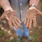 Why Some People Choose to Work in Agriculture