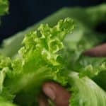 Cooking for Sustainability: Eco-Friendly Kitchen Habits