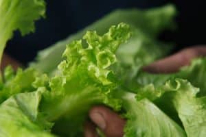 Cooking for Sustainability: Eco-Friendly Kitchen Habits