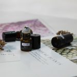 Treetop accommodations for unique sleepovers